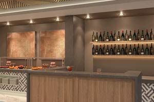 Lounge bar serving premium cocktails and light snacks